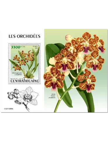 n° 1749 - Timbre CENTRAFRIQUE Blocs et feuillets