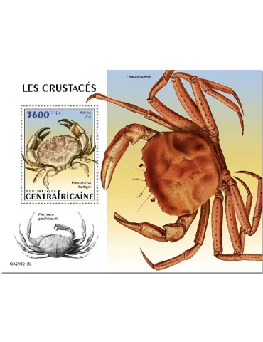 n° 1755 - Timbre CENTRAFRIQUE Blocs et feuillets