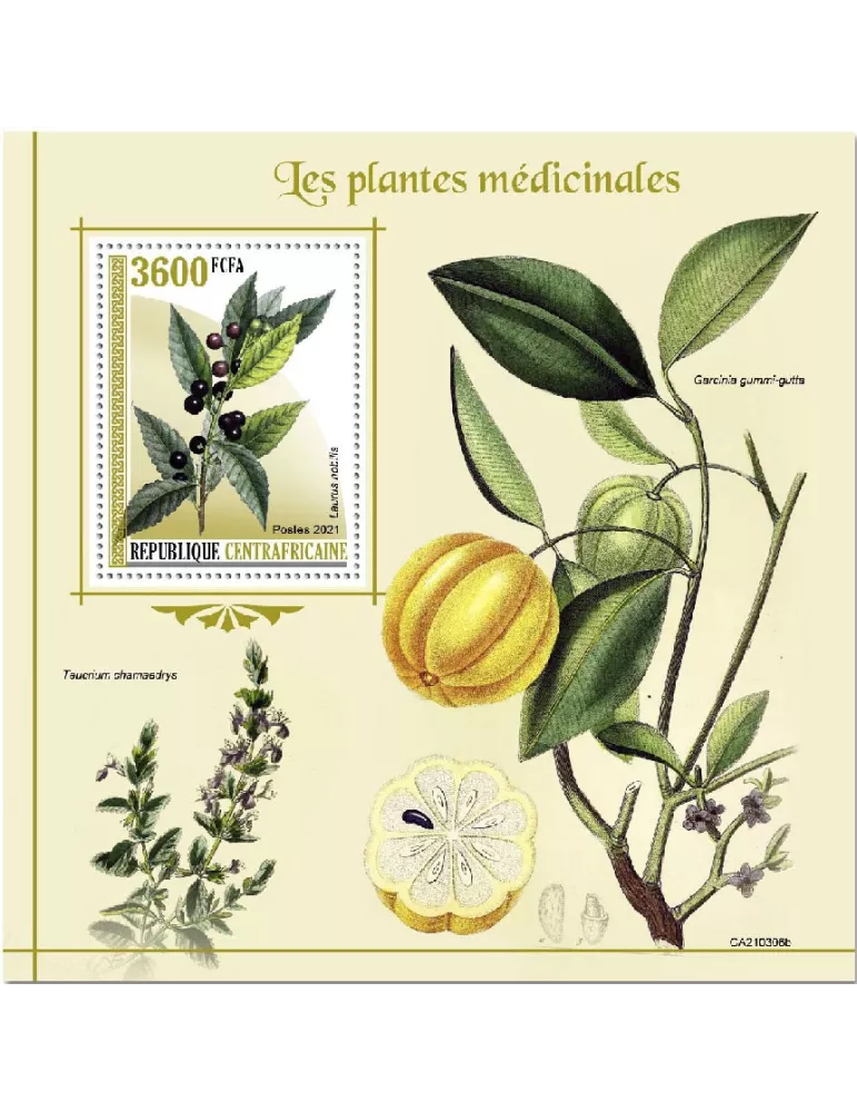 n° 1782 - Timbre CENTRAFRIQUE Blocs et feuillets