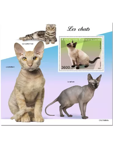 n° 1816 - Timbre CENTRAFRIQUE Blocs et feuillets