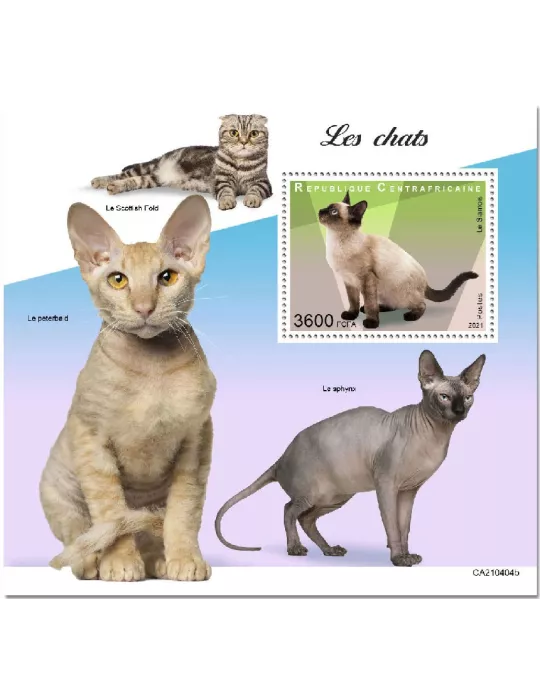 n° 1816 - Timbre CENTRAFRIQUE Blocs et feuillets