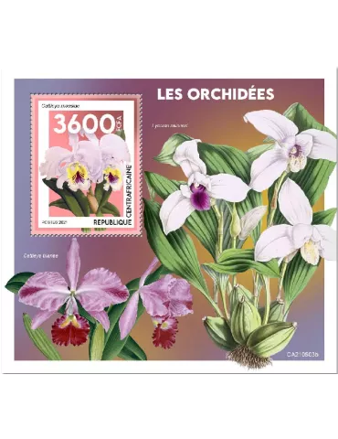 n° 1857 - Timbre CENTRAFRIQUE Blocs et feuillets