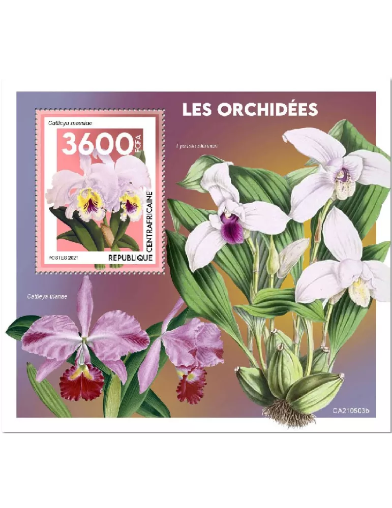 n° 1857 - Timbre CENTRAFRIQUE Blocs et feuillets