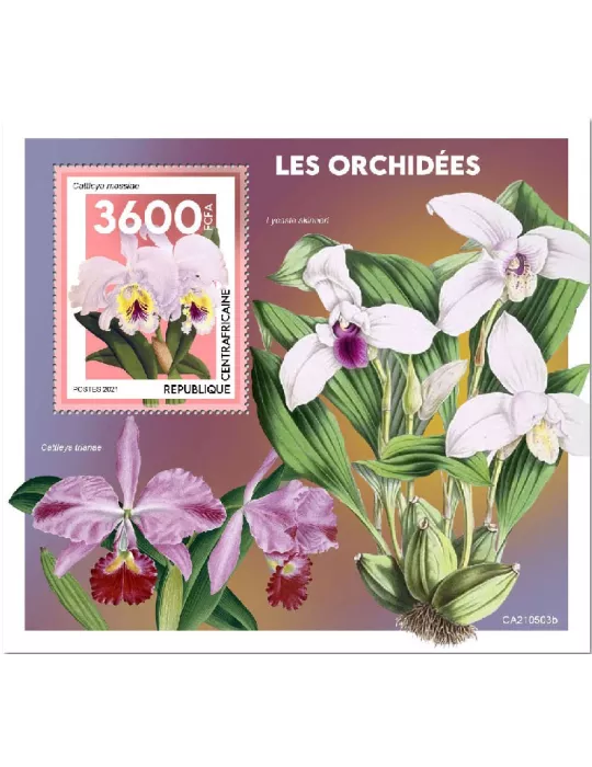 n° 1857 - Timbre CENTRAFRIQUE Blocs et feuillets