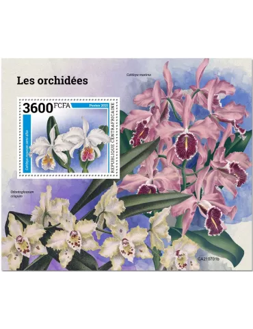 n° 1905 - Timbre CENTRAFRIQUE Blocs et feuillets