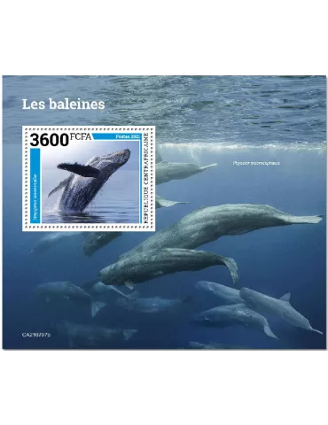 n° 1911 - Timbre CENTRAFRIQUE Blocs et feuillets