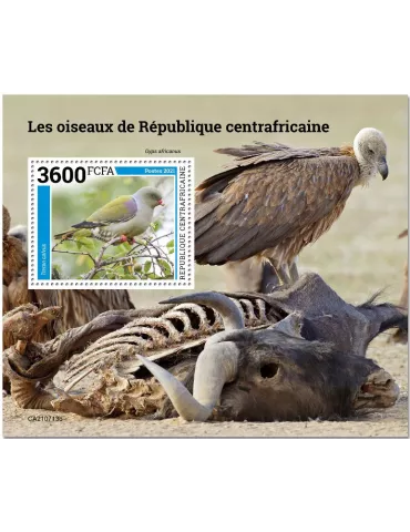 n° 1917 - Timbre CENTRAFRIQUE Blocs et feuillets