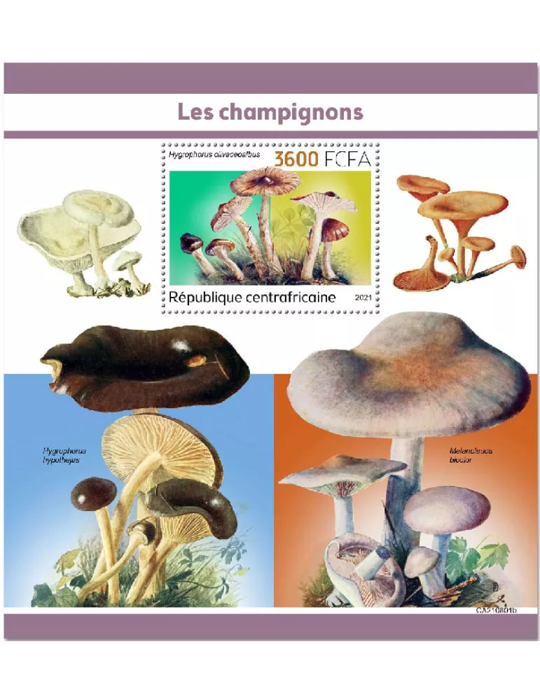 n° 1933 - Timbre CENTRAFRIQUE Blocs et feuillets