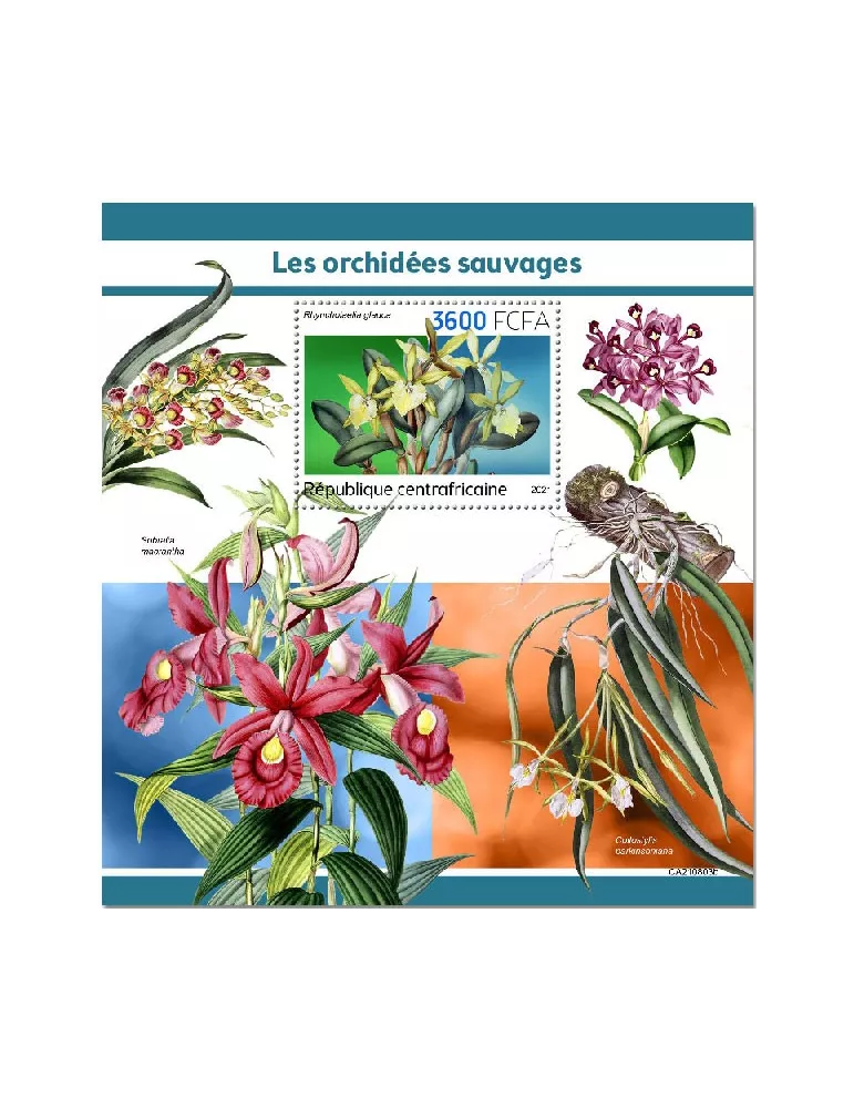 n° 1935 - Timbre CENTRAFRIQUE Blocs et feuillets