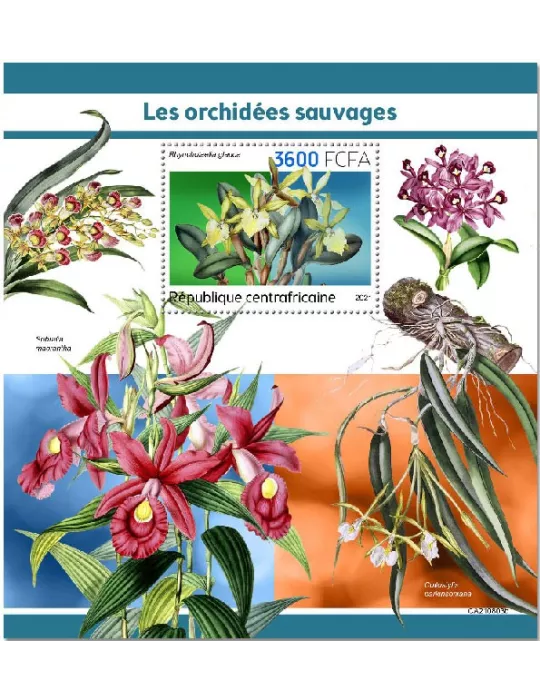 n° 1935 - Timbre CENTRAFRIQUE Blocs et feuillets