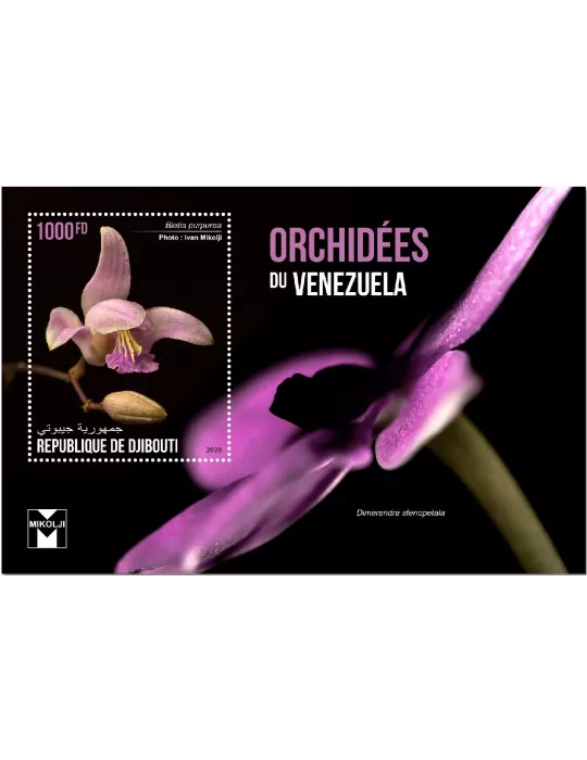 n° 650N - Timbre DJIBOUTI Blocs et feuillets