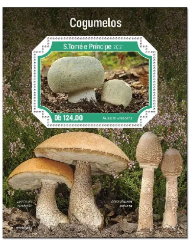 n° 1524 - Timbre SAINT-THOMAS ET PRINCE Blocs et feuillets