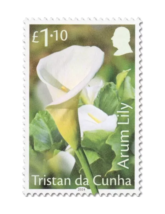 n° 1348/1351 - Timbre TRISTAN DA CUNHA Poste
