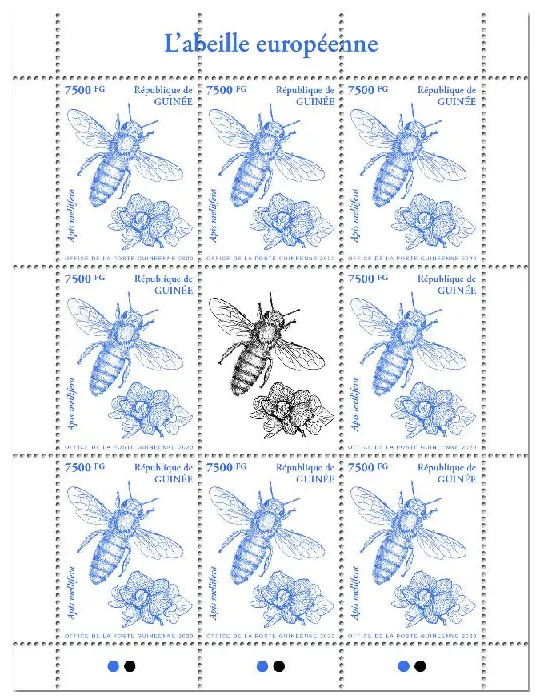 n° 10452 - Timbre GUINEE Poste