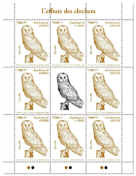 n° 10503 - Timbre GUINEE Poste