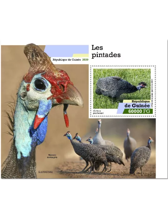 n° 2553 - Timbre GUINEE Blocs et feuillets