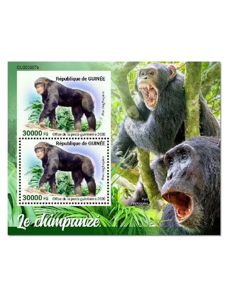 n° 2599 - Timbre GUINEE Blocs et feuillets