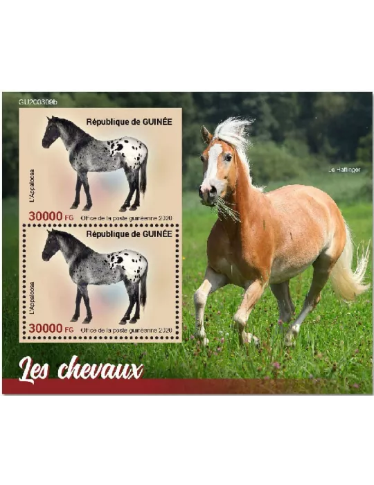 n° 2601 - Timbre GUINEE Blocs et feuillets