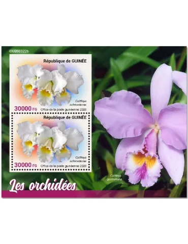 n° 2614 - Timbre GUINEE Blocs et feuillets