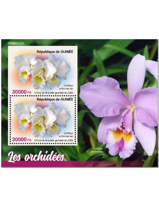 n° 2614 - Timbre GUINEE Blocs et feuillets