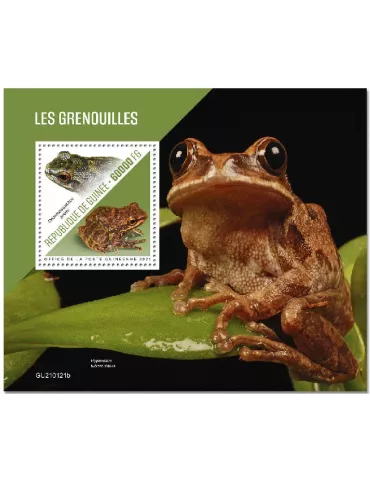 n° 2667 - Timbre GUINEE Blocs et feuillets
