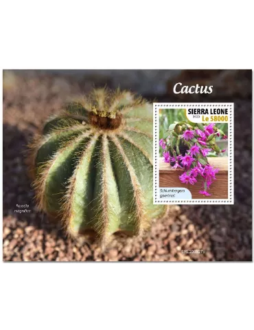 n° 2014 - Timbre SIERRA LEONE Blocs et feuillets