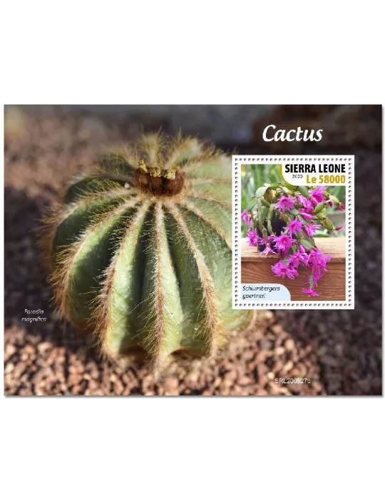 n° 2014 - Timbre SIERRA LEONE Blocs et feuillets