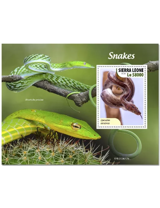 n° 2019 - Timbre SIERRA LEONE Blocs et feuillets