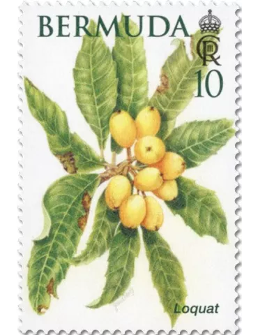 n° 1214/1219 - Timbre BERMUDES Poste 2