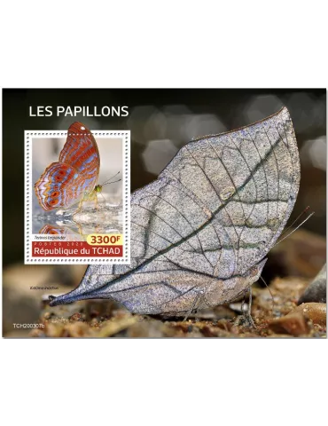 n° 303 - Timbre TCHAD Blocs et feuillets