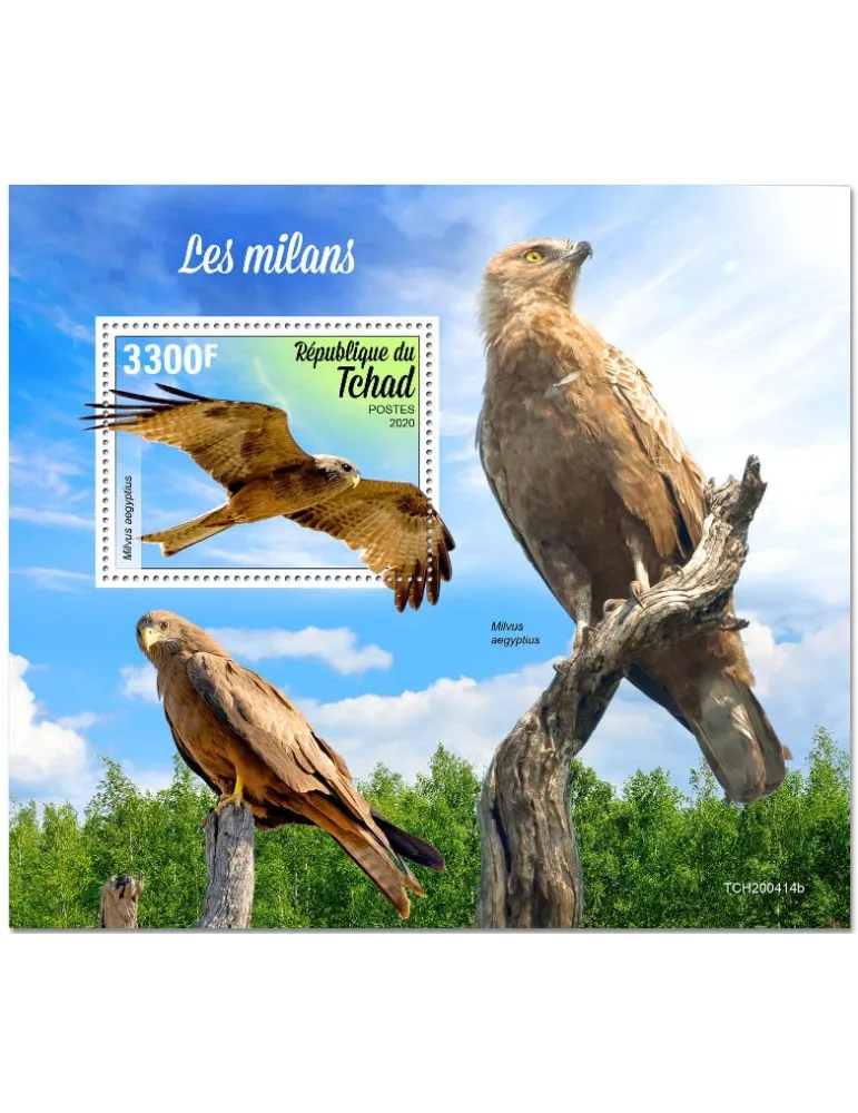 n° 354 - Timbre TCHAD Blocs et feuillets