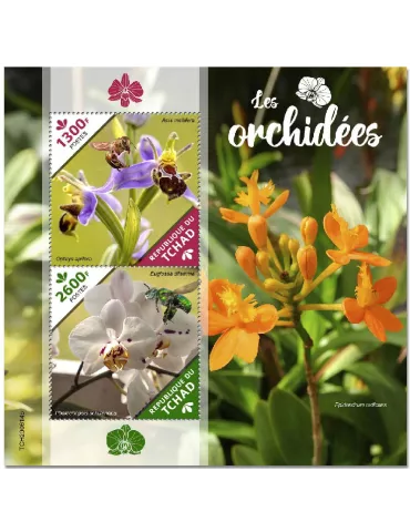 n° 405 - Timbre TCHAD Blocs et feuillets