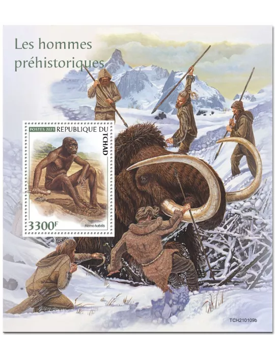 n° 429 - Timbre TCHAD Blocs et feuillets