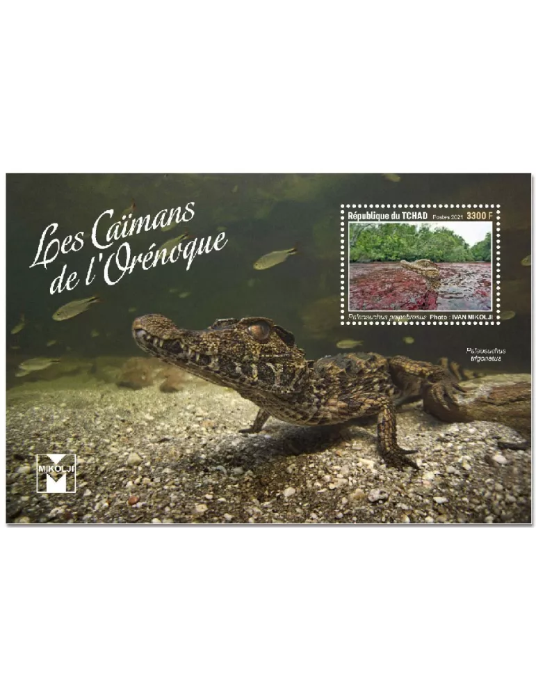 n° 473 - Timbre TCHAD Blocs et feuillets