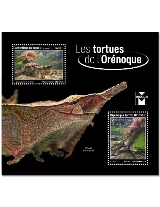 n° 475 - Timbre TCHAD Blocs et feuillets