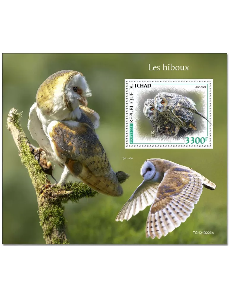 n° 480 - Timbre TCHAD Blocs et feuillets