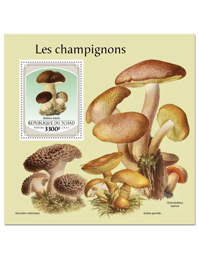 n° 498 - Timbre TCHAD Blocs et feuillets