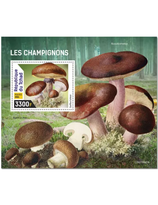 n° 584 - Timbre TCHAD Blocs et feuillets