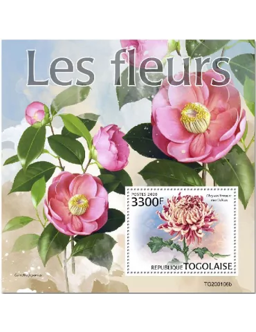 n° 1832 - Timbre TOGO Blocs et feuillets