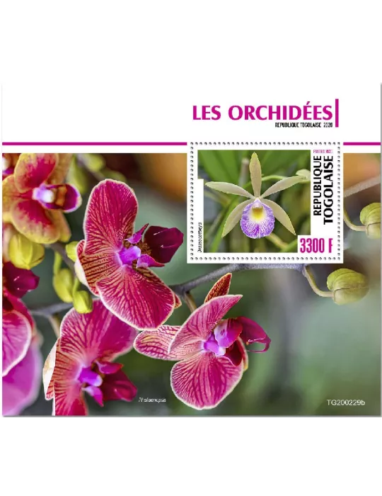 n° 1928 - Timbre TOGO Blocs et feuillets