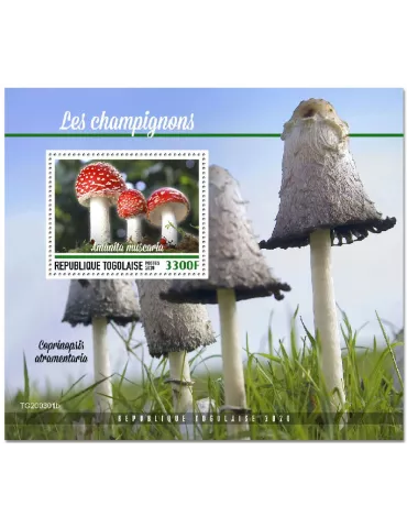 n° 1957 - Timbre TOGO Blocs et feuillets