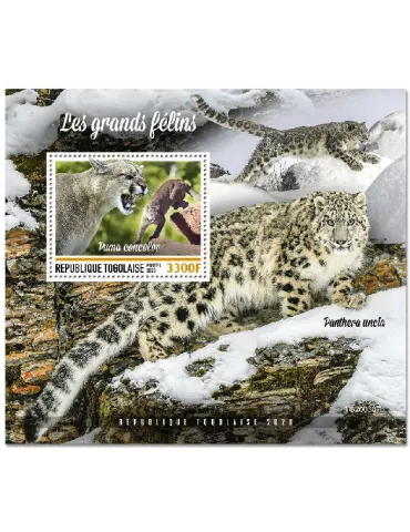 n° 1963 - Timbre TOGO Blocs et feuillets