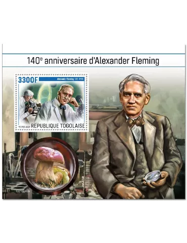 n° 2143 - Timbre TOGO Blocs et feuillets