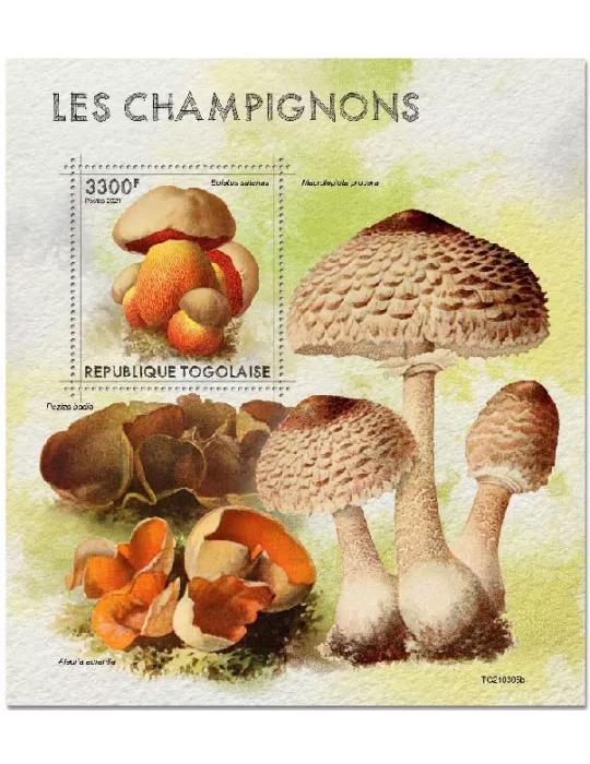 n° 2157 - Timbre TOGO Blocs et feuillets