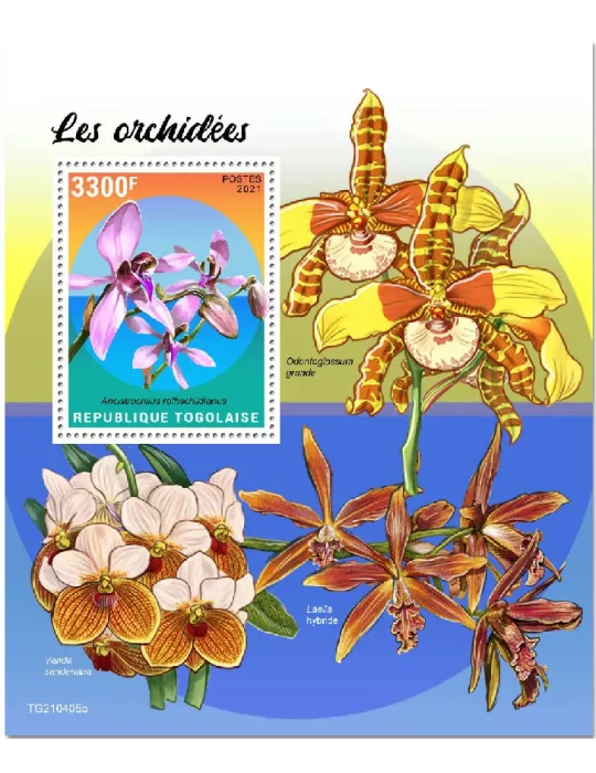 n° 2212 - Timbre TOGO Blocs et feuillets