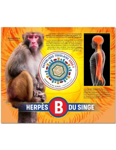 n° 2241 - Timbre TOGO Blocs et feuillets