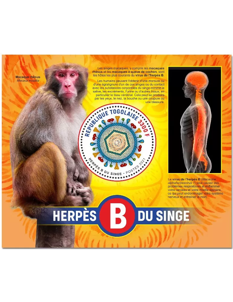 n° 2241 - Timbre TOGO Blocs et feuillets