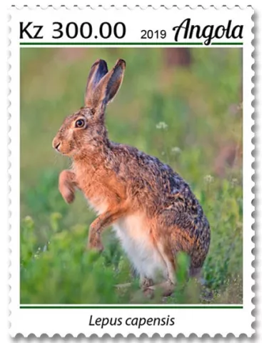 n° 2001/2004 - Timbre ANGOLA Poste 2