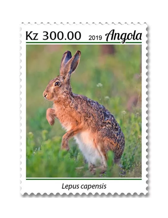n° 2001/2004 - Timbre ANGOLA Poste
