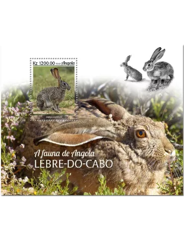 n° 217 - Timbre ANGOLA Blocs et feuillets